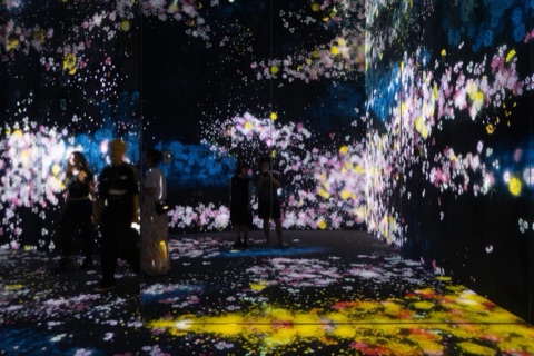 teamLab Borderless